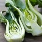 Heirloom Chinese Cabbage Vegetable 50 PCS Seeds
