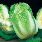Heirloom Chinese Cabbage Wong Bok Vegetable 30 PCS Seeds Heirloom Chinese Cabbage Wong Bok Vegetable 30 PCS Seeds