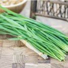 Heirloom Chinese Green Leek Vegetables 50 PCS Seeds