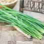 Heirloom Chinese Green Leek Vegetables 50 PCS Seeds