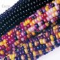 Heirloom Colorful Hybrid Corn 20 PCS Seeds