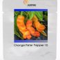 Heirloom Fresh Orange Peter Penis Chili Pepper Organic 10 PCS Seeds