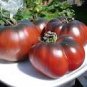 Heirloom Giant Black Krim Tomato Hybrid F2 Vegetables 100 PCS Seeds
