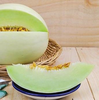 Heirloom Green Crisp Sweet Melon Fruit 200 PCS Seeds