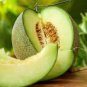 Heirloom Green Crisp Sweet Melon Fruit 200 PCS Seeds