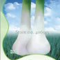 Heirloom Green Drumstick Scallion 30 PCS Seeds