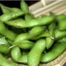Heirloom Green Organic Edamame Vegetables 10 PCS Seeds