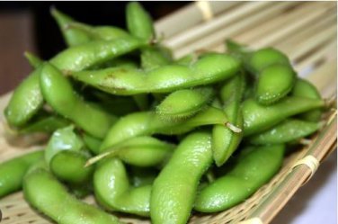 Heirloom Green Organic Edamame Vegetables 10 PCS Seeds