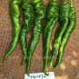 Heirloom Light Green Long 'Sheep Horn' Sweet Pepper Vegetable 20 PCS Seeds