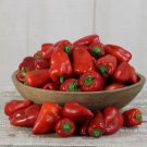 Heirloom Lipstick Long Red Sweet Pepper Organic 50 PCS Seeds