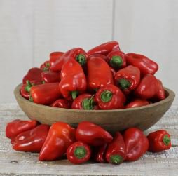 Heirloom Lipstick Long Red Sweet Pepper Organic 50 PCS Seeds