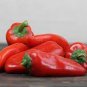 Heirloom Lipstick Long Red Sweet Pepper Organic 50 PCS Seeds