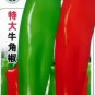 Heirloom Long Giant Ox Horn Sweet Pepper 100 PCS Seeds