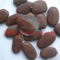 Heirloom Lysidice Rhodostegia Hance Tree 5 PCS Seeds