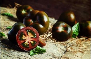 Heirloom Middle Black 'Pearl' Tomato Organic 25 PCS Seeds