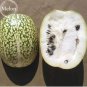 Heirloom Malabar Gourd 8 PCS Seeds