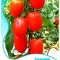 Heirloom Milky Bright Red Oval Little Dwarf Tomato 25 PCS Seeds