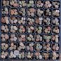 Heirloom Mix Lithops Pseudotruncatella Succulent Plant 100 PCS Seeds
