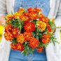 Heirloom Mixed French Marigold Annual Flowers 50 PCS Seeds