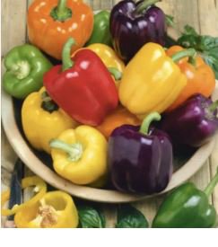 Heirloom Mixed Yellow Green Red Orange Sweet Bell Pepper Organic 50 PCS Seeds