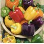 Heirloom Mixed Yellow Green Red Orange Sweet Bell Pepper Organic 50 PCS Seeds