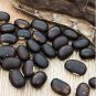 Heirloom Mucuna Pruriens 5 PCS Seeds