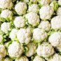 Heirloom Natural Health White Broccoli Cauliflower 50 PCS Seeds