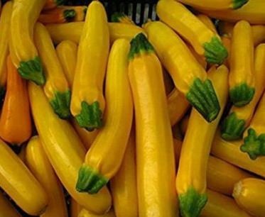 Heirloom New Cassabanana Sicana Odorifera 10 PCS Seeds
