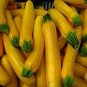 Heirloom New Cassabanana Sicana Odorifera 10 PCS Seeds