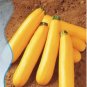Heirloom New Cassabanana Sicana Odorifera 10 PCS Seeds