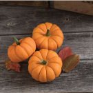 Heirloom Orange Jack Be Little Pumpkin 10 PCS Seeds