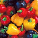 Heirloom Organic Green Bell Sweet Pepper 40 PCS Seeds