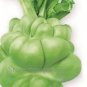 Heirloom Organic Green Leaf Mustard Brassica juncea Vegetables 30 PCS Seeds