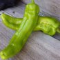 Heirloom Organic Green Red White Hot Chilli Pepper Vegetables 20 PCS Seeds