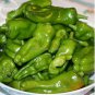 Heirloom Organic Green Red White Hot Chilli Pepper Vegetables 20 PCS Seeds