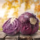 Heirloom Purple Cabbage Organic Vegetables 30 PCS Seeds Heirloom Purple Cabbage Organic Vegetables 30 PCS Seeds