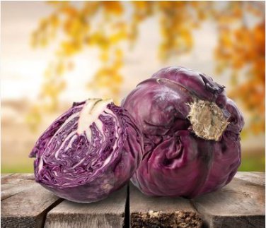 Heirloom Purple Cabbage Organic Vegetables 30 PCS Seeds