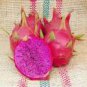 Heirloom Purple Dragon Fruit 50 PCS Seeds