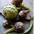 Heirloom Purple Headed Artichoke Organic Vegetables 4 PCS Seeds