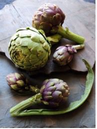 Heirloom Purple Headed Artichoke Organic Vegetables 4 PCS Seeds