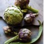 Heirloom Purple Headed Artichoke Organic Vegetables 4 PCS Seeds