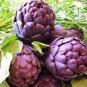 Heirloom Purple Headed Artichoke Organic Vegetables 4 PCS Seeds