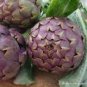 Heirloom Purple Headed Artichoke Organic Vegetables 4 PCS Seeds