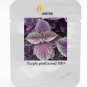 Heirloom Purple Perilla 100 PCS Seeds