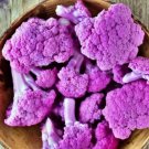 Heirloom Purple Sicily Cauliflower 20 PCS Seeds
