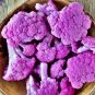 Heirloom Purple Sicily Cauliflower 20 PCS Seeds