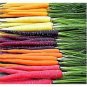 Heirloom Rainbow Yellow White Purple Orange Red Carrot Vegetable Mixed 100 PCS Seeds