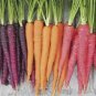 Heirloom Rainbow Yellow White Purple Orange Red Carrot Vegetable Mixed 100 PCS Seeds
