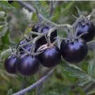 Heirloom Rare Small Black Green Tomato Hybrid F1 Fruits 100 PCS Seeds Heirloom Rare Small Black Green Tomato Hybrid F1 Fruits 100 PCS Seeds