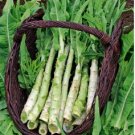Heirloom Red Skin Asparagus Lettuce Vegetables 30 PCS Seeds